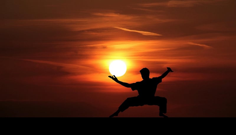 Sun Style Tai Chi Movements